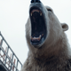 Illustration for article titled What We Like (And Dont Like) About HBOs New iHis Dark Materials/i Show